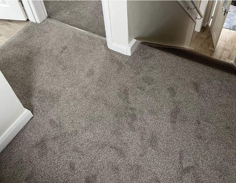 Carpet supply and fitting in Penrith by Craig McLean Flooring